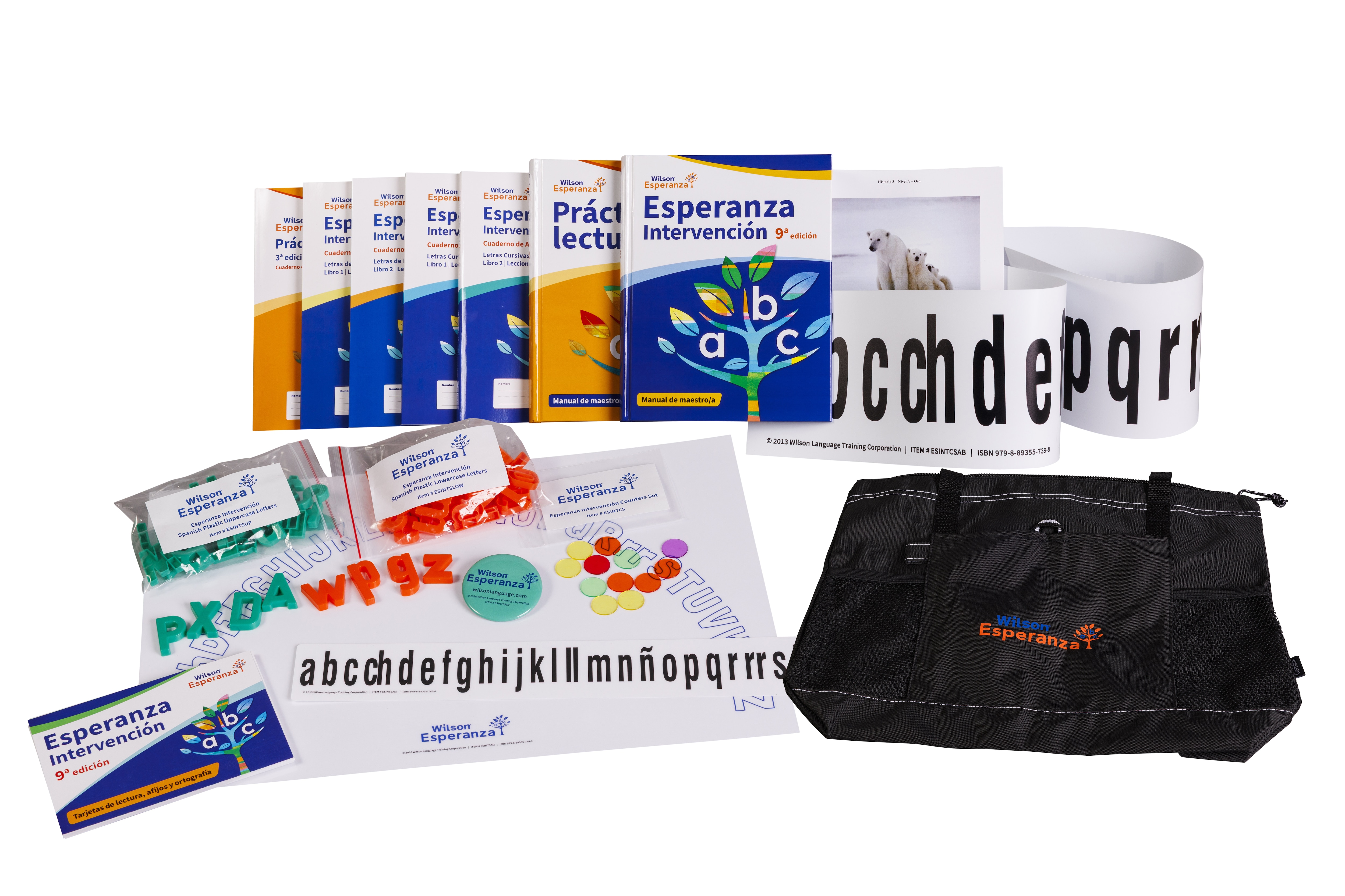 Esperanza Intervención Teacher Kit, 9th edition